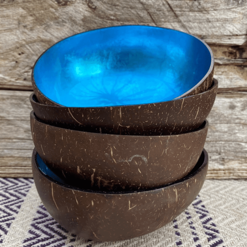 Polished Coconut Bowls