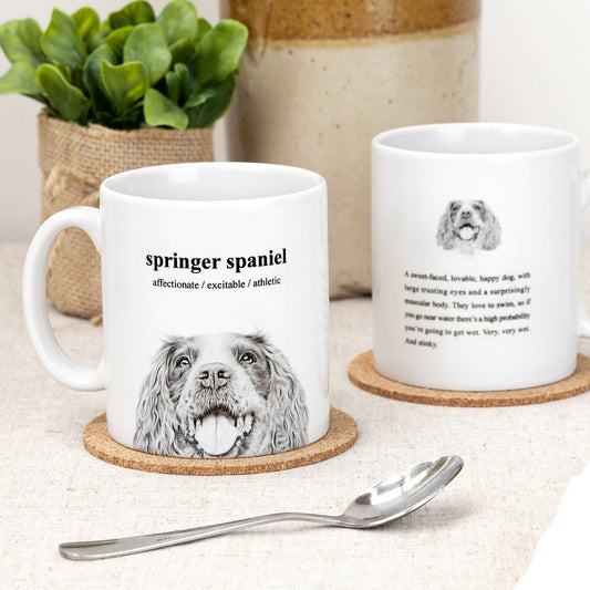 Hand-Illustrated Springer Spaniel Mug