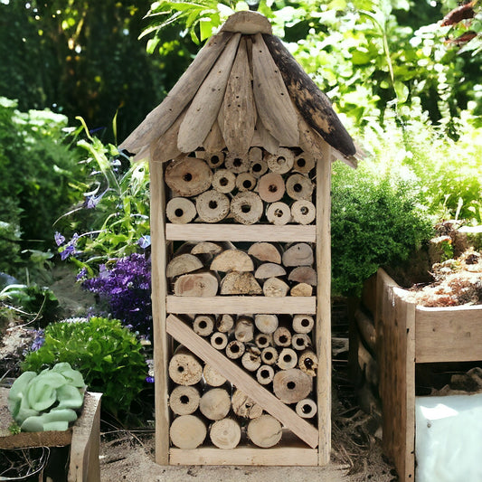 Driftwood Bee & Insect Box