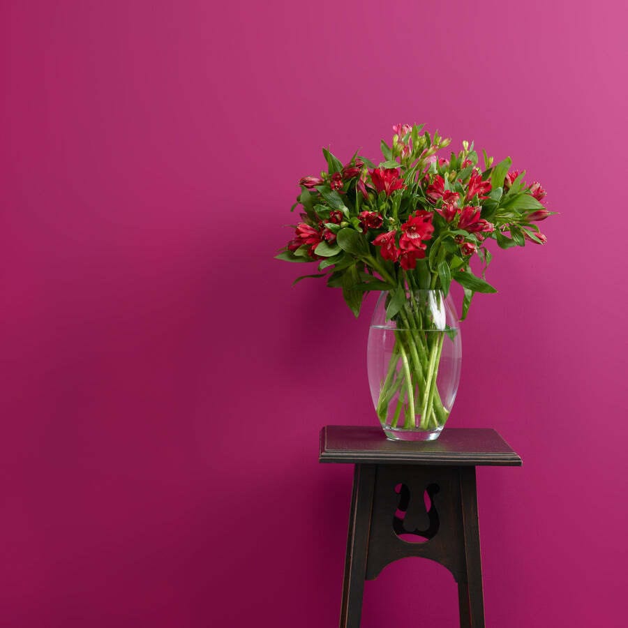 Plum Pudding Wall Paint